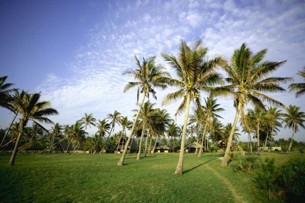 Bonito Bay