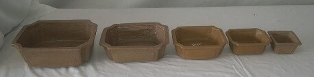Bonsai Wholesalers