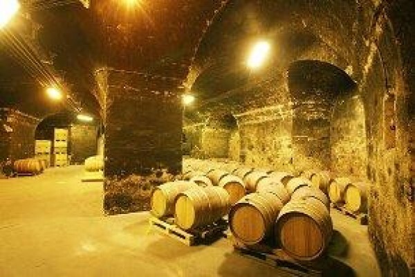 Boutique Wine Collection