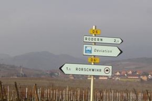 Boutique Wine Collection