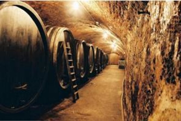 Boutique Wine Collection