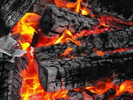 Braai King