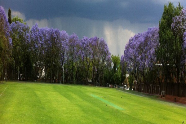 Bryanston Primary