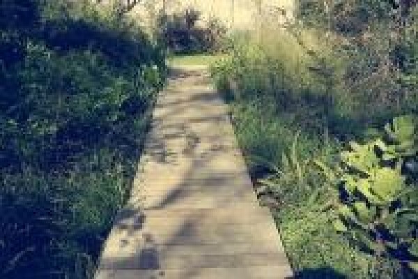 Deck Creations