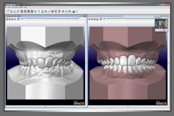 Dentist / Tandarts