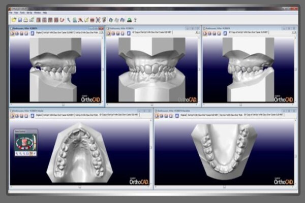 Dentist / Tandarts