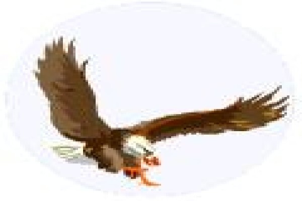 Desh