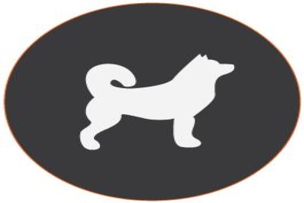 Comma Projects Int.