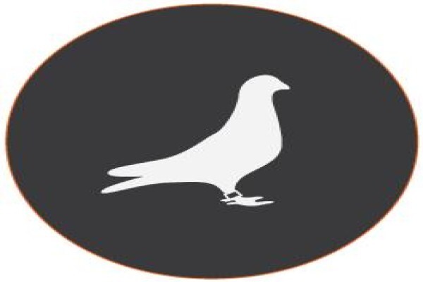 Comma Projects Int.