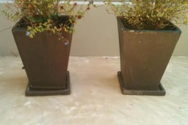 Crete & Coat Products