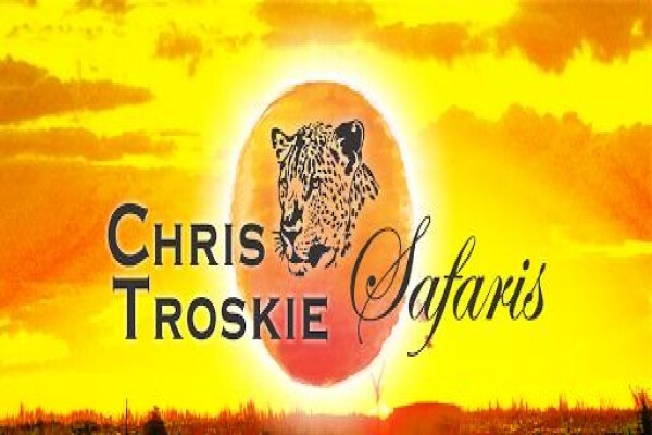 Ct Safaris
