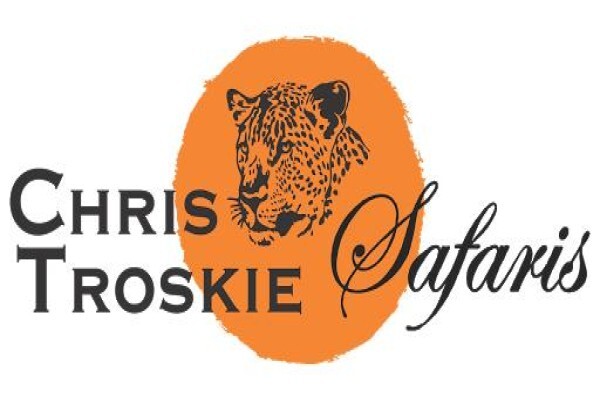 Ct Safaris