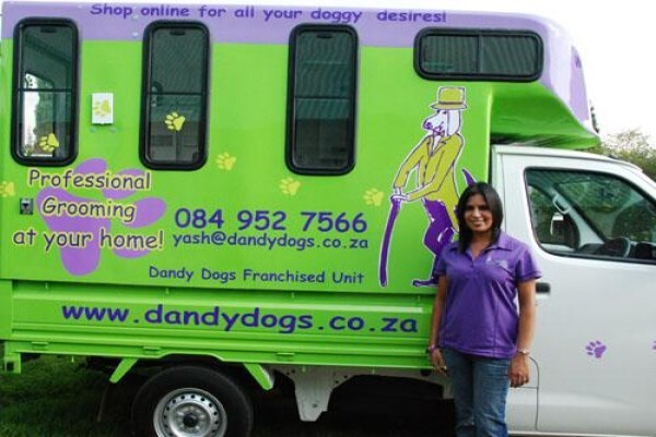 Dandy Dogs