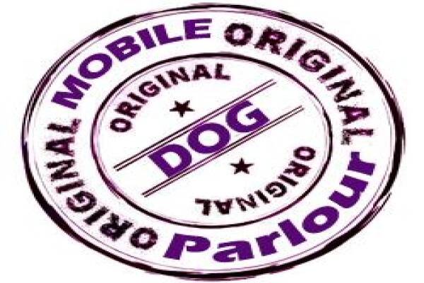 Dandy Dogs