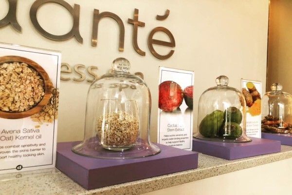 Dante Wellness Spa