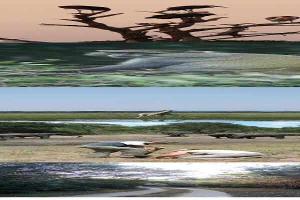 Environmental Management Assistance