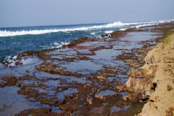 Environmental Management Assistance
