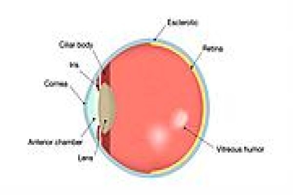 Eye Surgery