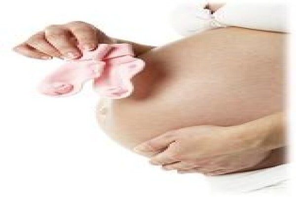 Gift Ov Life Egg Donor Agency
