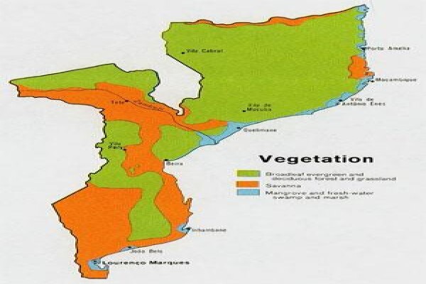 Gismap