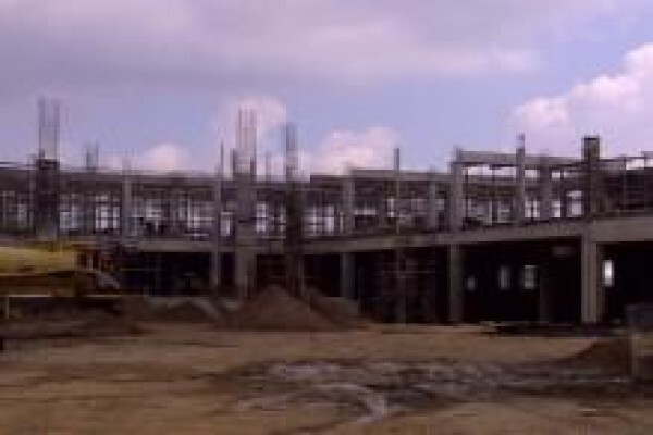 Global Link Scaffolding
