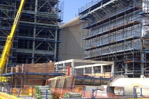 Global Link Scaffolding