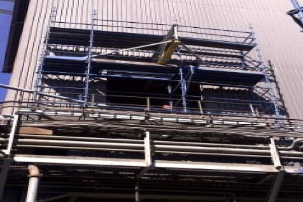 Global Link Scaffolding