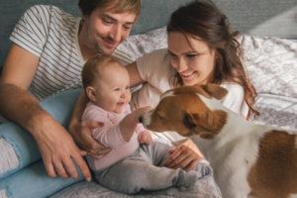 Goodpet