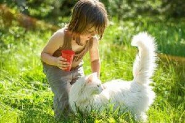 Goodpet