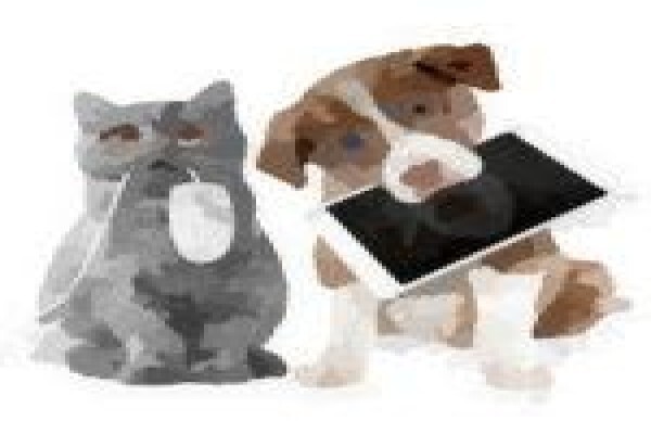 Goodpet
