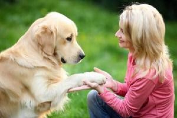 Goodpet