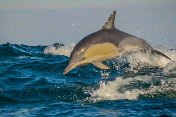 Go That Way Cape Town