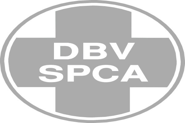 Diversified Consulting