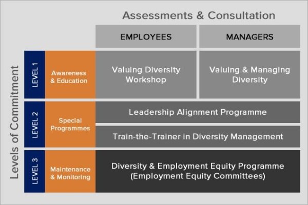 Diversity Institute