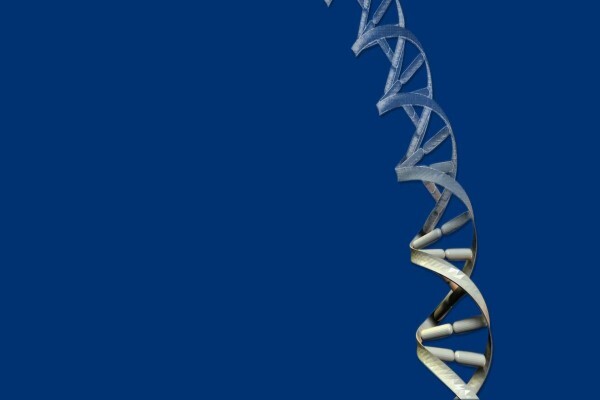 Dna Test