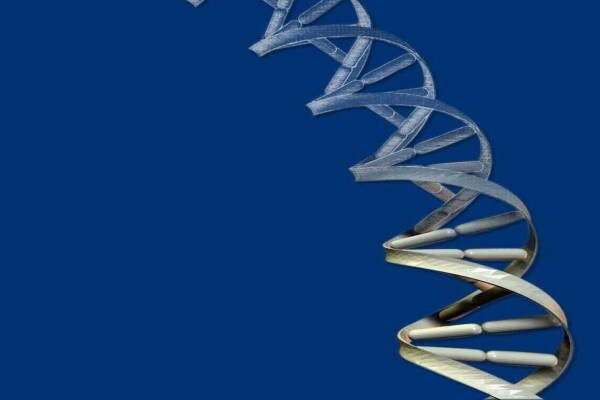 Dna Test