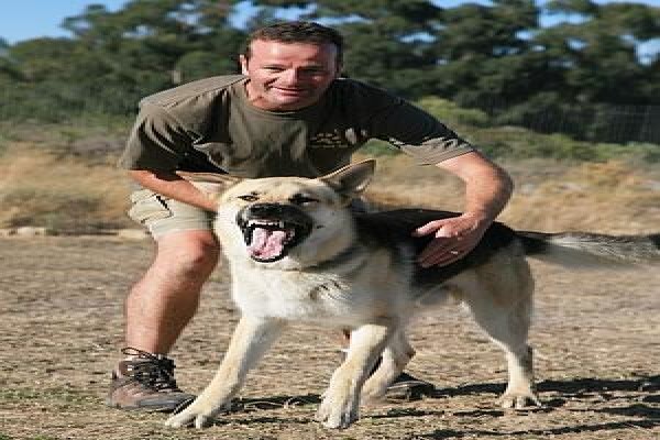 Dogs And All Shooting Range
