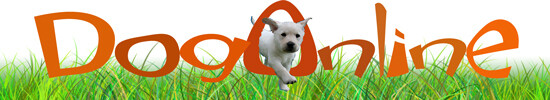 Dogonline