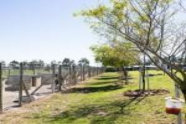 Dogs And All Shooting Range