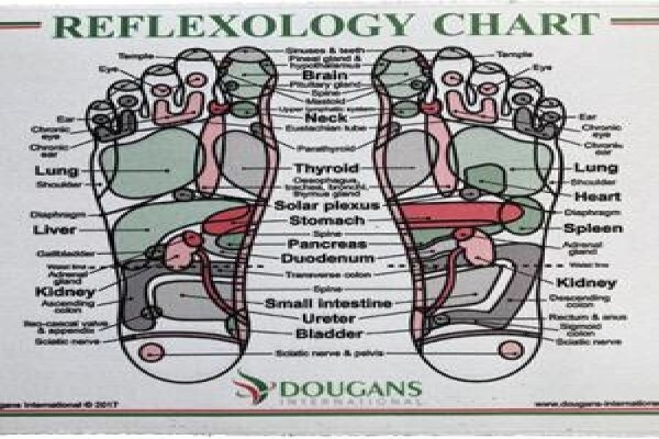 Dougans International Trading