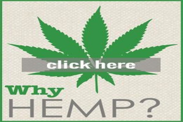 Hemporium