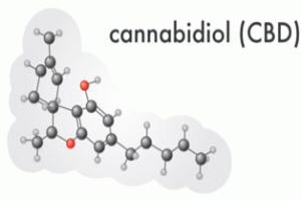 Hemporium