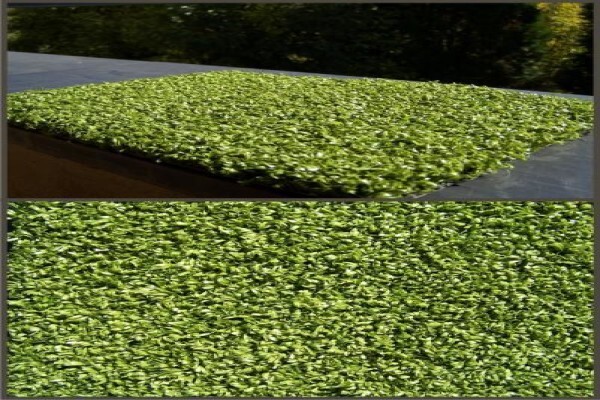 Heynsturf Cape