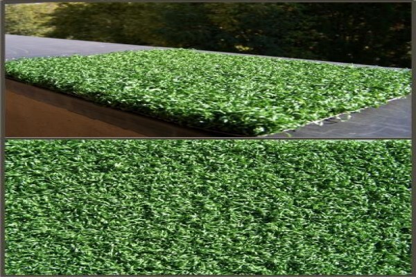 Heynsturf Cape