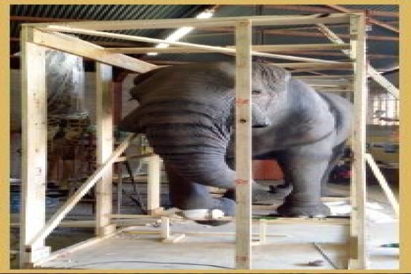 Hgi Taxidermy