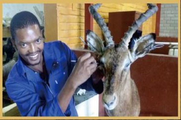 Hgi Taxidermy