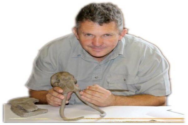 Hgi Taxidermy