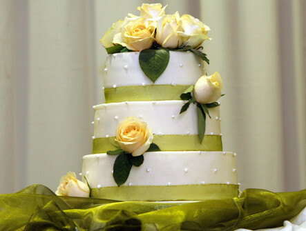 High Tea Tighty