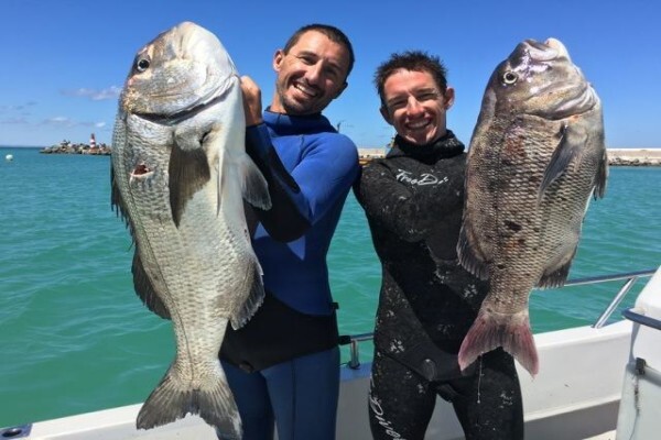 Green Fish Traders