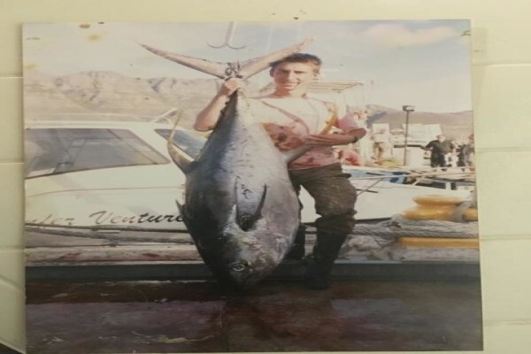 Green Fish Traders